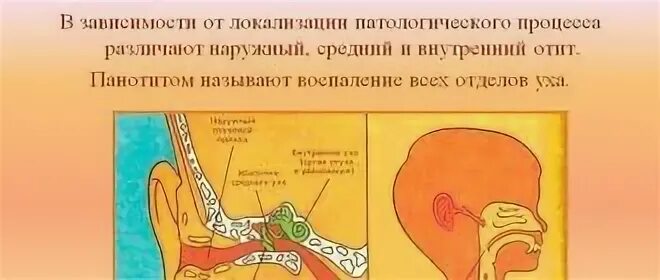 Заложено ухо но не