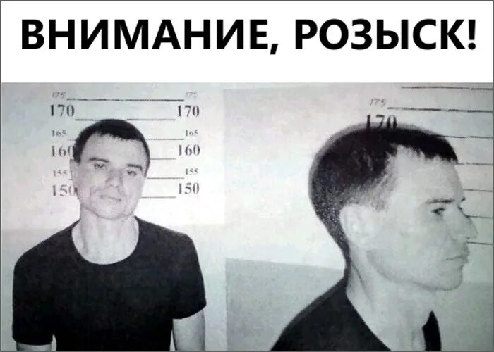 Тест сонди портреты. Портреты сонди. Теория ломброзо прирожденный преступник портрет преступника. Портреты теста сонди оригинальные. Прирожденный преступник ломброзо.