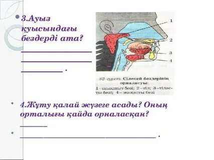 Ауыз қуысында GIF