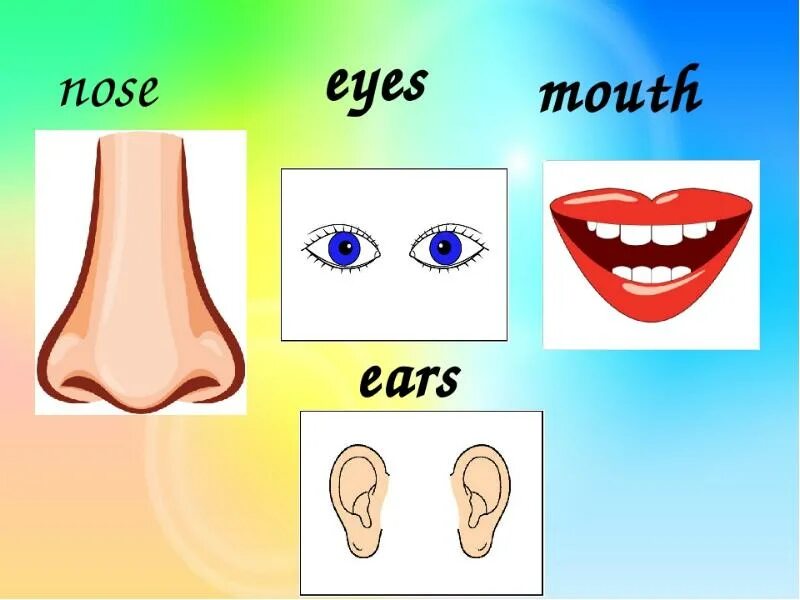 Глаза нос рот на английском. Карточки с изображением частей лица. Части тела глаза для детей. Нос человека для дошкольников. Части лица карточки для детей.