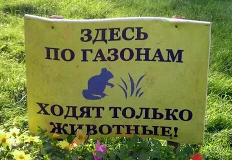 Никогда не ходи по одному