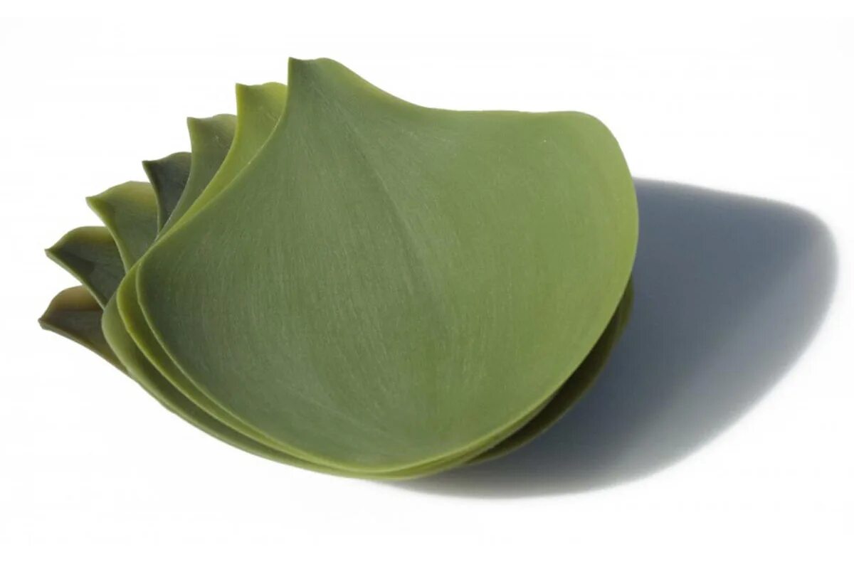 Посуда лист. Seasons тарелки. petals silicone small plates – covo. салфетки в виде пальмового листа купить.