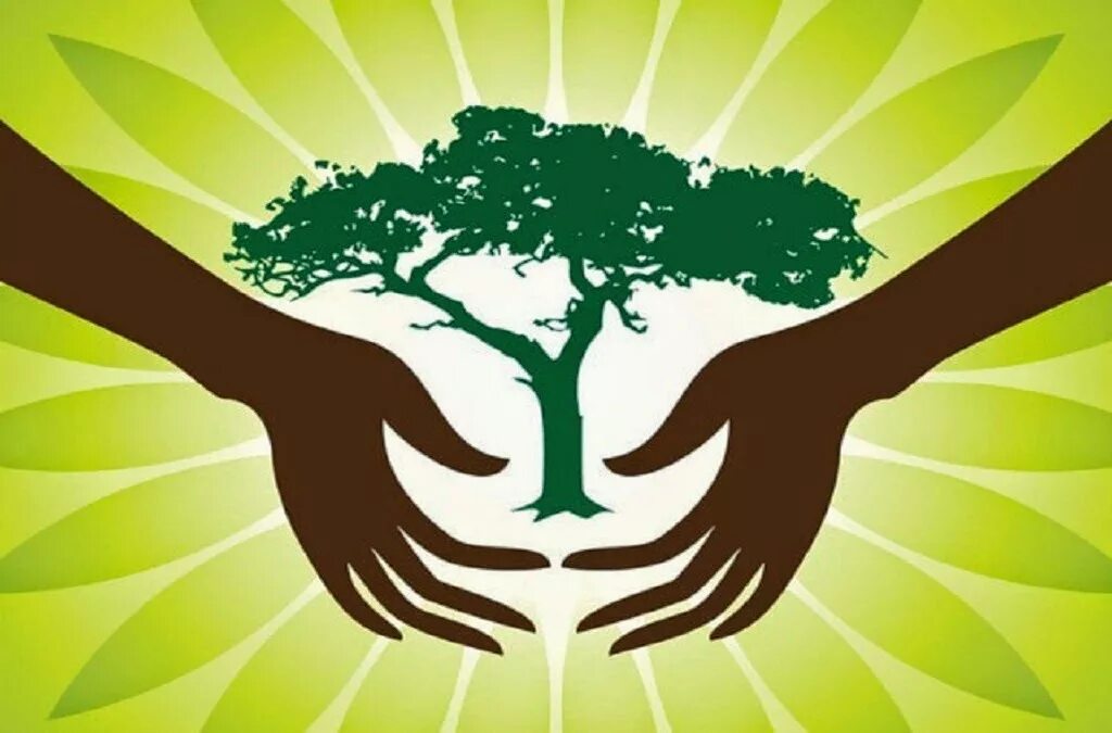 Looking after the environment