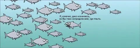 Еще побольше рыб