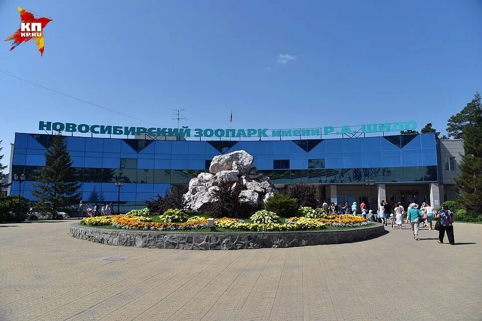 Новосибирский зоопарк фото. Новосибирский зоопарк достопримечательности новосибирска. Новосибирский зоопарк имени р. Зоопарк в новосибирске для пенсионеров. Новосибирский зоопарк новосибирск.