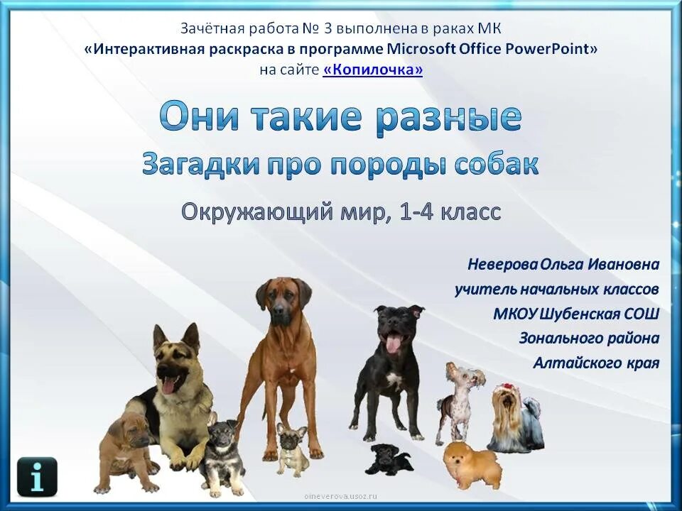 профессии людей связанные с собаками. профессии собак окружающий. собачьи профессии. несколько собачьих профессий. профессии собак окружающий.