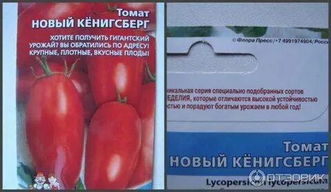 Томат кенигсберг характеристика и описание