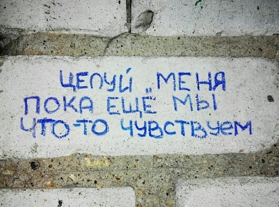 Пока еще мы что то чувствуем. Надписи на стенах про любовь. Надпись на стене я тебя люблю. Целуй меня пока. Целуй меня пока мы еще что то чувствуем.