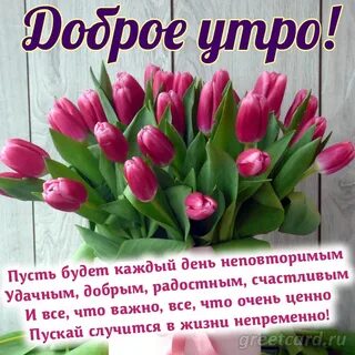 Доброе утро с тюльпанами с пожеланиями