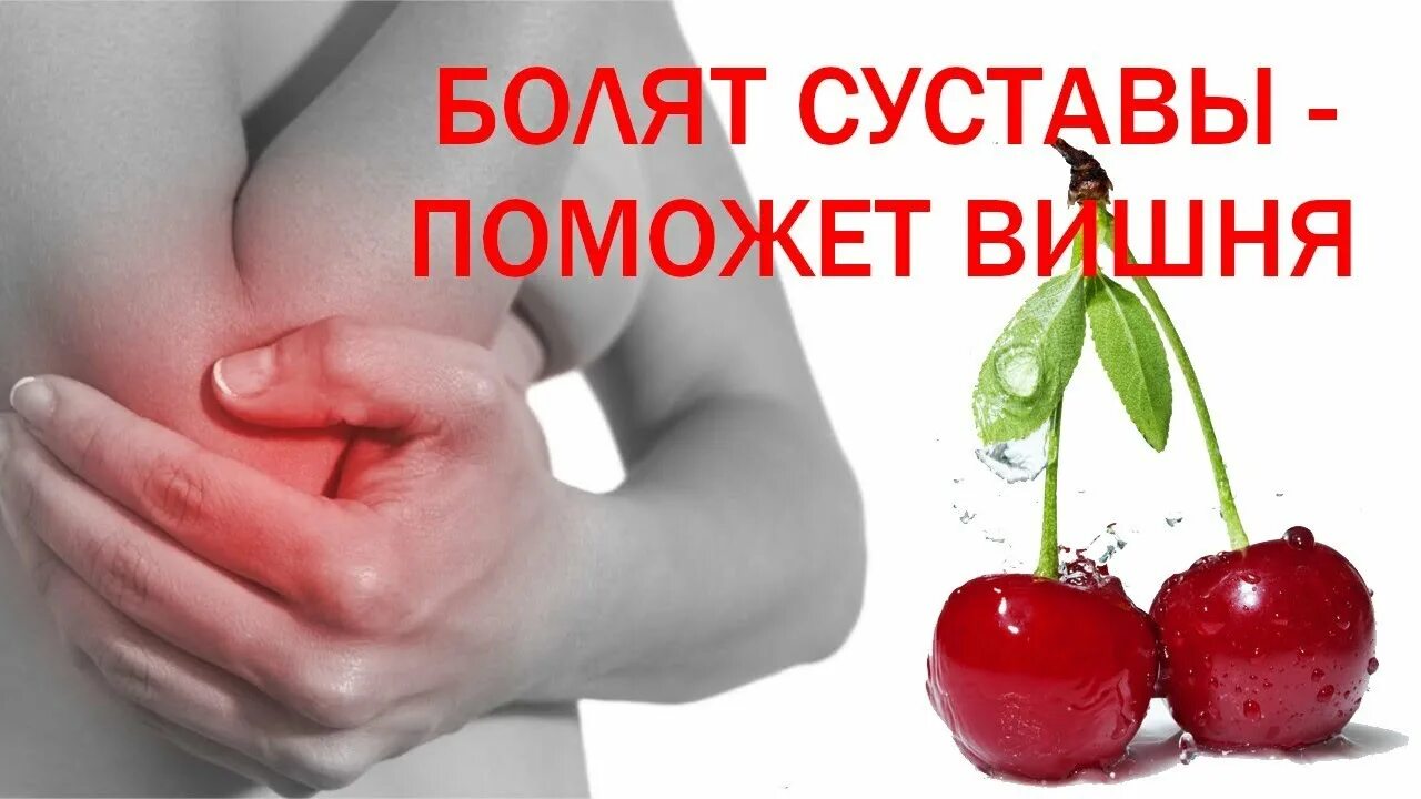 Черешня при подагре можно. Вишня от подагры. экстракт вишни при подагре. препарат вишни при подагре.