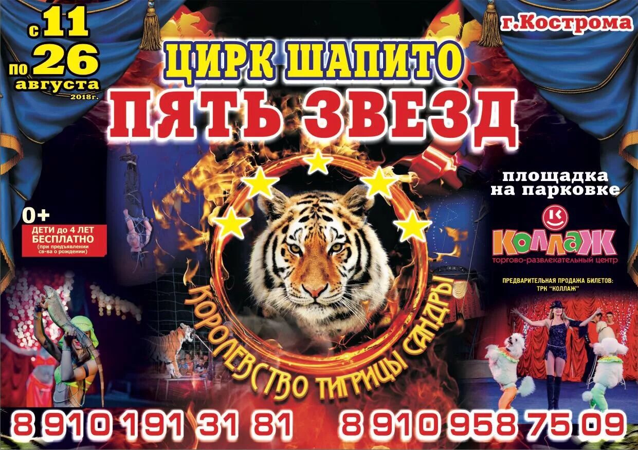 Цирк числа. Цирк шапито кострома. костромской цирк афиша. цирк кострома у коллажа. цирк программа кострома.