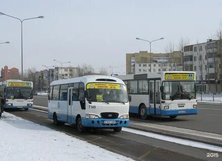 Омск астана автобус