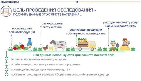 Кемеровостат отчетность