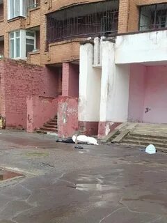 Анонимно ярославль