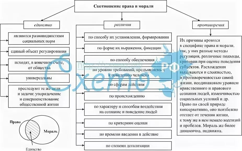 Сходство и различия социальных норм