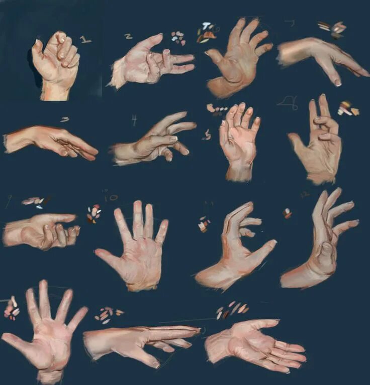 Кисть руки. Рисунок руки человека. Рука рисунок. Ладонь вниз. Длина мизинца.