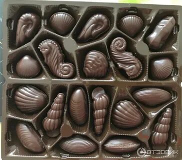 Шоколад ракушки