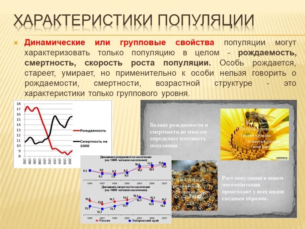 Какие свойства могут характеризовать популяцию как группу. Динамические характеристики популяции. Характеристика свойств популяции. Характеристика популяции биология. Экологические характеристики популяции рождаемость.