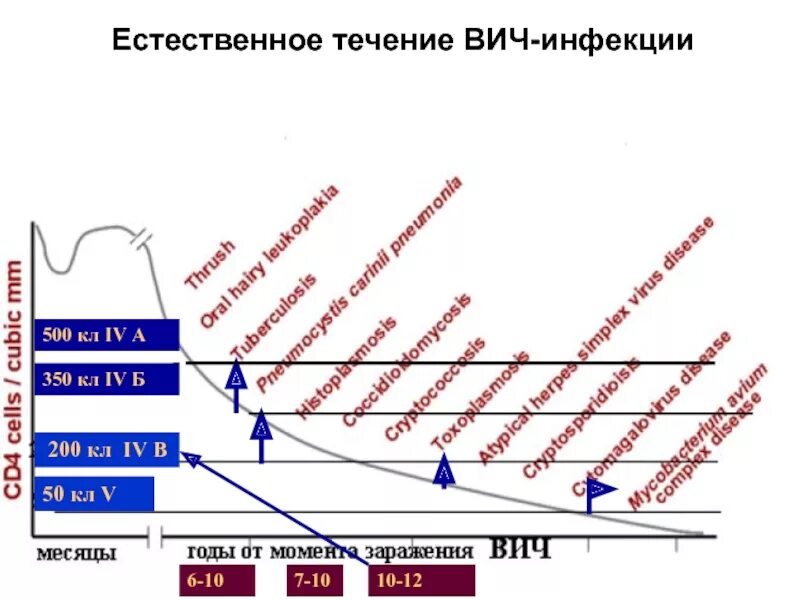 Установившееся течение жизни. Естественное течение ВИЧ. Течение ВИЧ инфекции. Течение ВИЧ инфекции схема. Течение ВИЧ инфекции график.