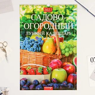 Садово огородный календарь на сентябрь