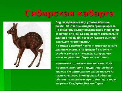 Вид который находится