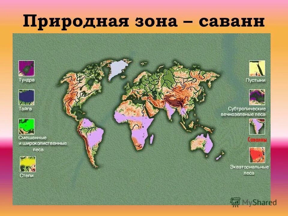 Природная зона занимающая 40 материка. Природные зоны. Саванна это природная зона. Карта природных зон. Природные зоны саванны и пустыни.