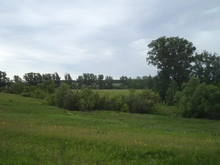 Земля каменский. Село Лесной Вьяс Лунинского района Пензенской области. Зелёная Поляна Лунинского района Пензенской области. Ломовка Пензенская область Лунинский район. Большой Вьяс Пензенская область.