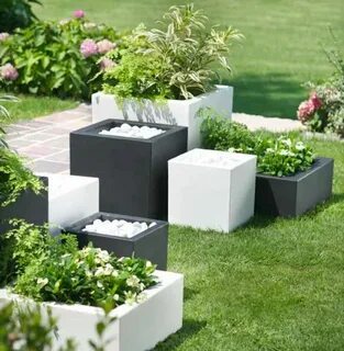 Plant cube