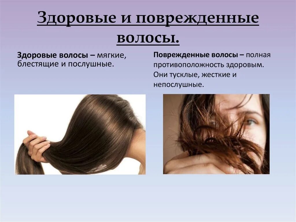 Как определить повреждение волос. Степени повреждения волос. здоровый и поврежденный волос. характеристика здоровых и поврежденных волос. физическое повреждение волос.