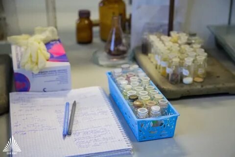 Поставь болею