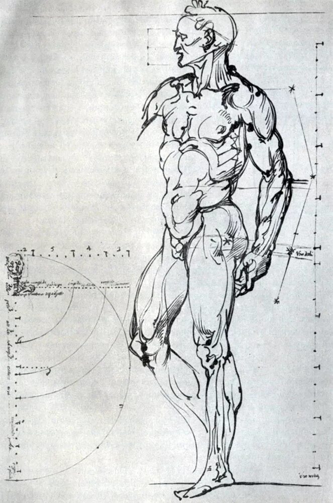 Reference details