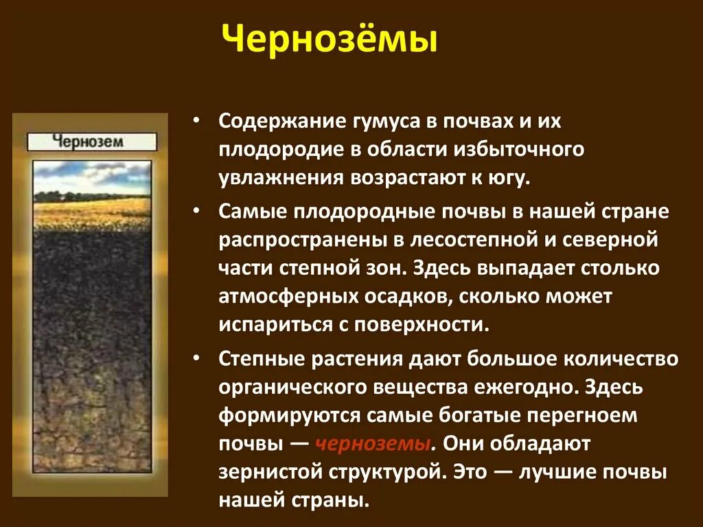 Лучшие почвы россии. Характеристика почв России черноземы. Почвы, почвы России : типы , черноземы. Тип почвы чернозем. Типы черноземных почв.