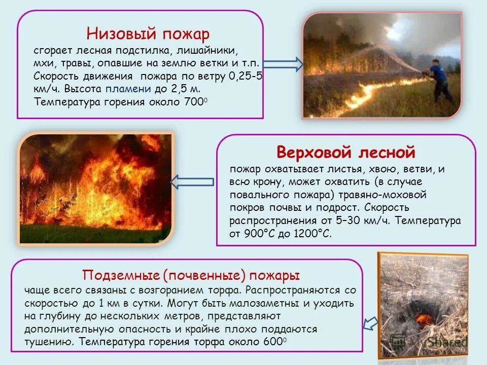 Высота сгорела. Презентация на тему Лесные пожары. Причины возникновения природных пожаров. Причины и стадии развития пожара. Презентации на тему Лесные пожары для детей.