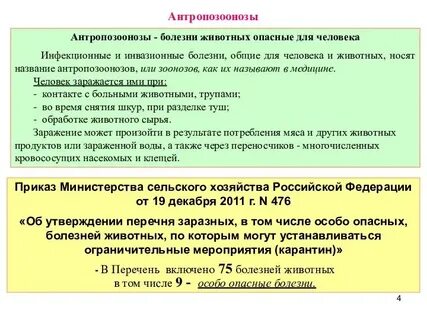 К антропозоонозным инфекциям относятся