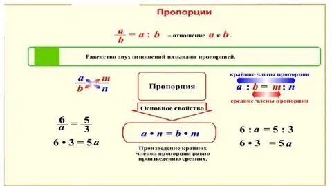 Пропорция 14 5