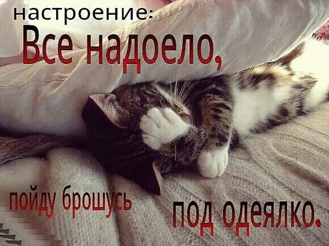 Под одеялом как пишется