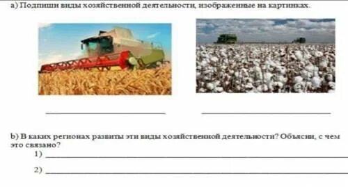 Три вида хозяйственной деятельности. Чем отличаются виды хозяйственной деятельности. Подпишите название видов хозяйственной деятельности. Виды хозяйственной деятельности на территории России