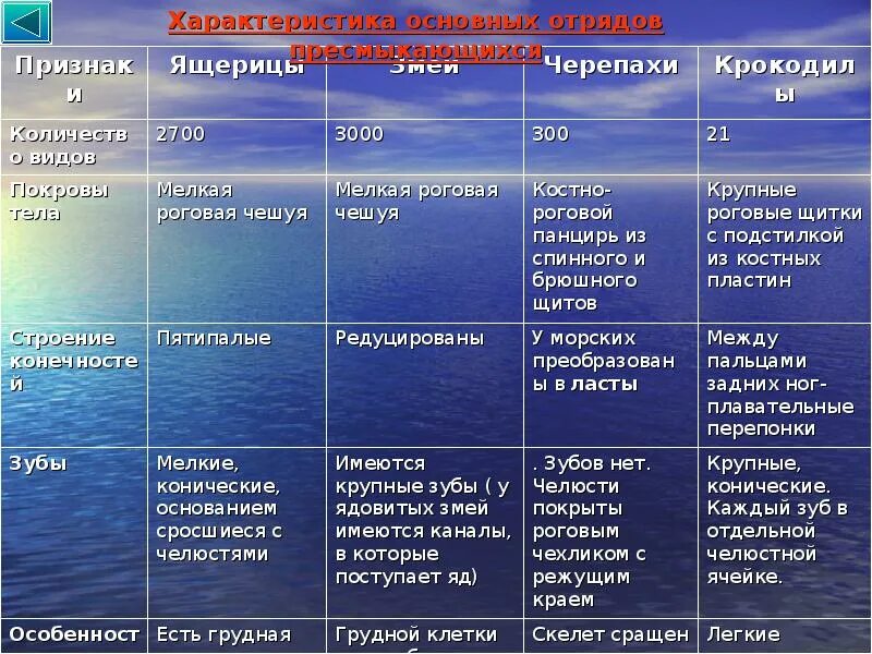 Общая характеристика отрядов пресмыкающихся. Таблица по биологии 7 класс отряды пресмыкающихся отряд черепахи. Таблица отряды пресмыкающихся 7 класс биология. Таблица отряды представители признаки отряда пресмыкающиеся.