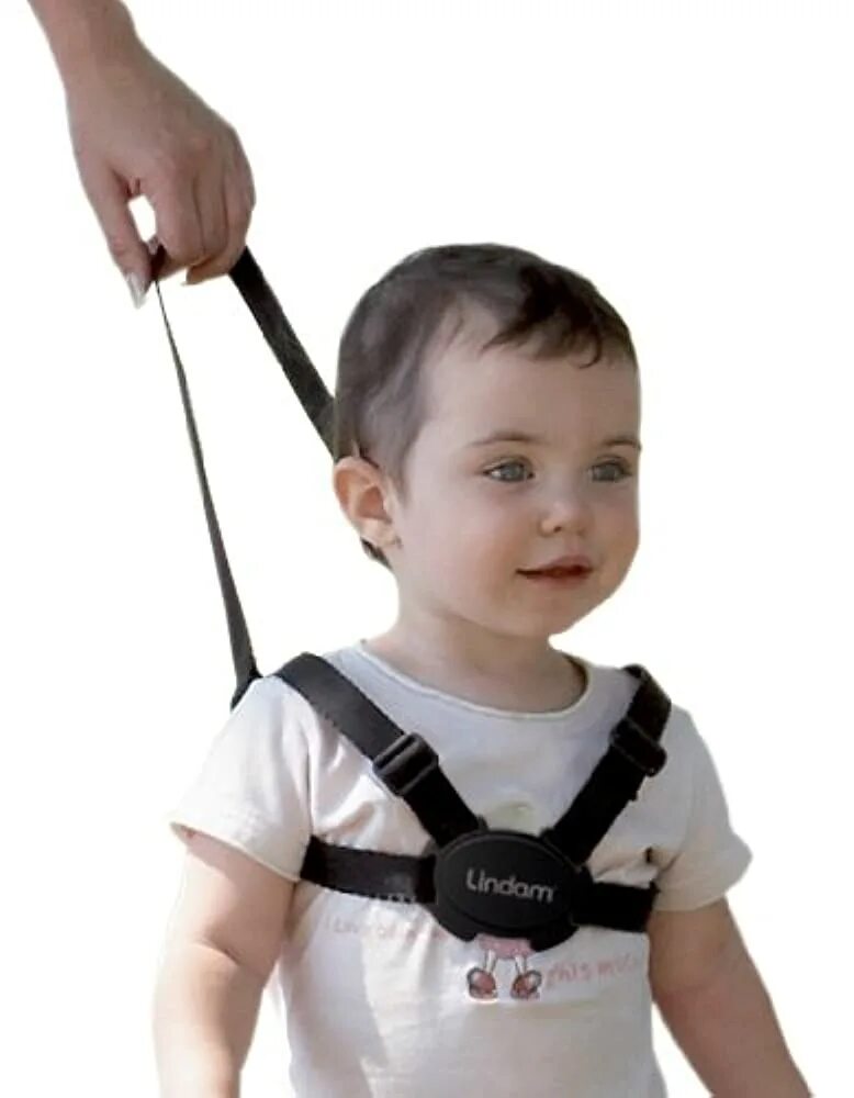 Тронуть вожжи. Вожжи поводок Mothercare. Вожжи Safety 1st Safety harness. Детский вожжи для прогулки. Вожжи с колесиками для детей.