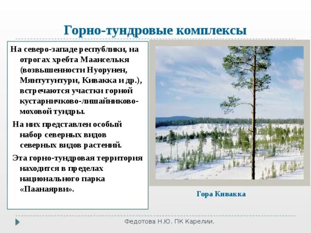 Природные комплексы Карелии. Схема природно-территориального комплекса Карелии. Какие природные комплексы в Карелии. Сообщение о любом природном комплексе. Особенности природы природные комплексы