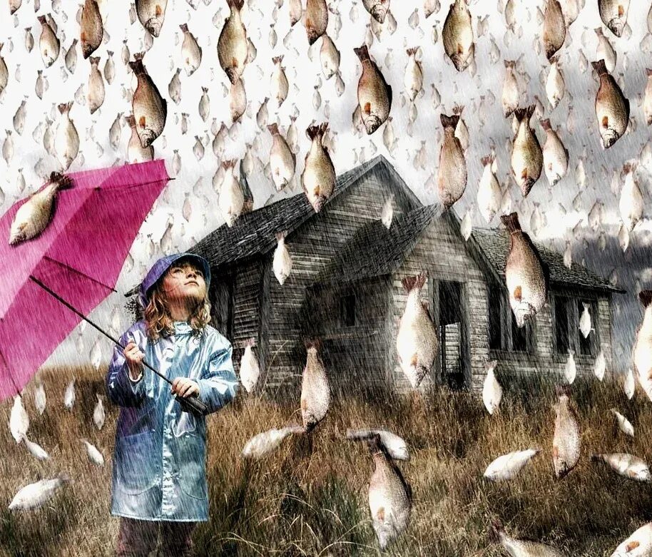 Рыбный дождь в Гондурасе. Дождь из рыбы. Дождь из животных. Дождь из рыб и лягушек.