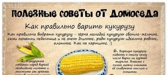 Сколько варить початок. Как и сколько варить кукурузу. Сколько времени варить кукурузу. Как варить кукурузу. Сколько варить кукурузу в початках.