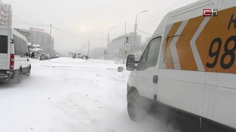 Автобусы белый яр