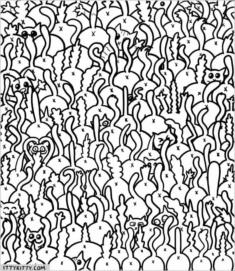 Find u s