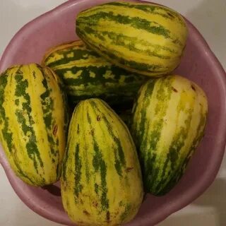 Огурец вкус дыни