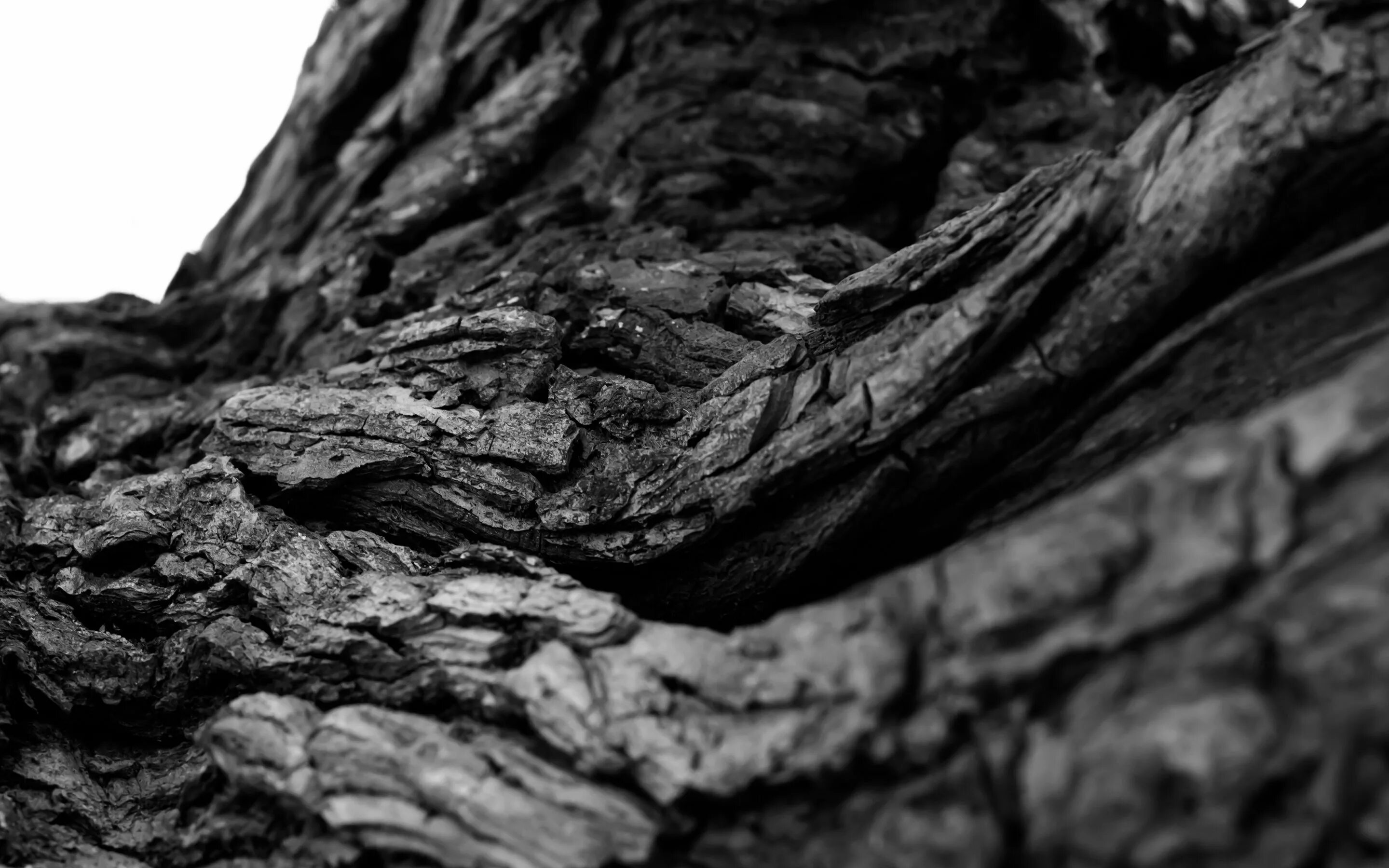 Каменный уголь текстура. Черный уголь. Фактура черного дерева. Дерево с черной корой. Каменный уголь дерево