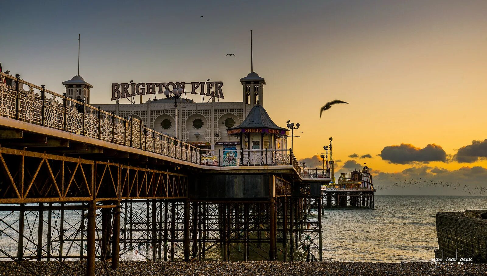 Brighton city. Brighton city. Город брайтон великобритания. Пирс брайтон палас. Brighton city.