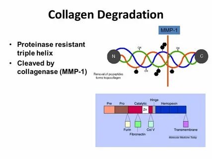 Degradation
