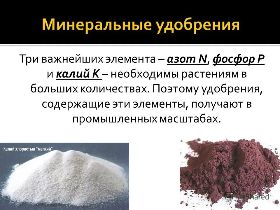 Азотная кислота производство удобрений. Калийные Минеральные удобрения. Азотные удобрения. Азотные Минеральные удобрения. Роль калийных удобрений.