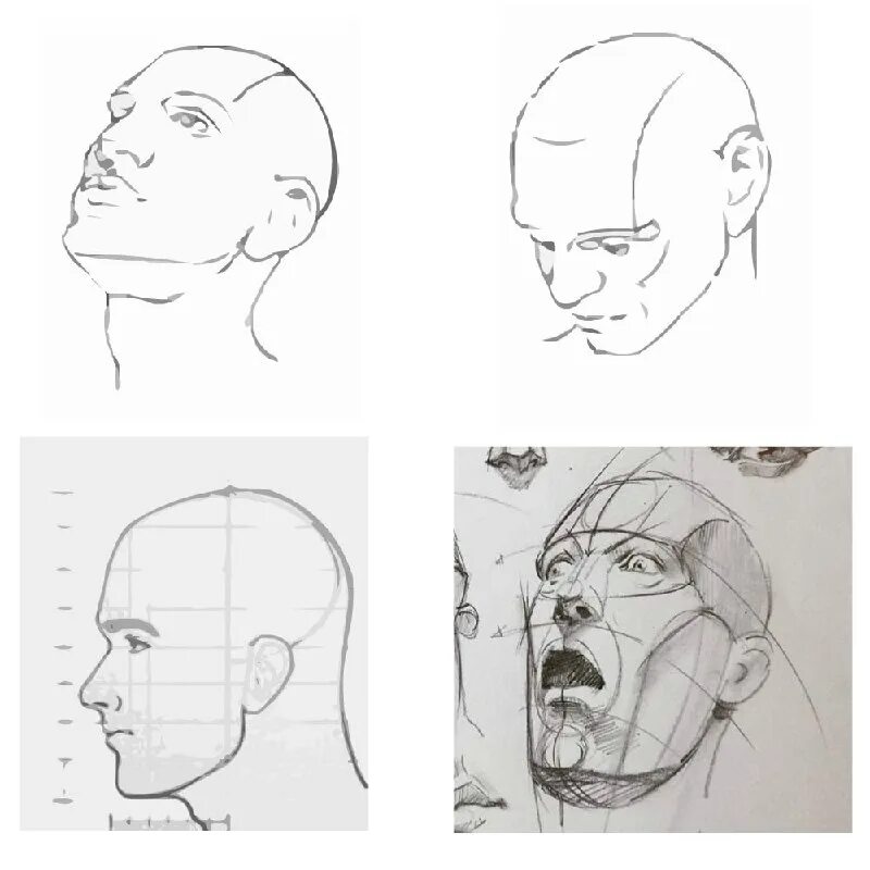 Положение головы 3 4. Положение головы 3 4. Голова вид сбоку референс. Положение головы 3 4. Положение головы.